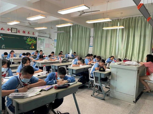 課后服務全面開花，打造有溫度的教育——教育咨詢服務的價值與實踐